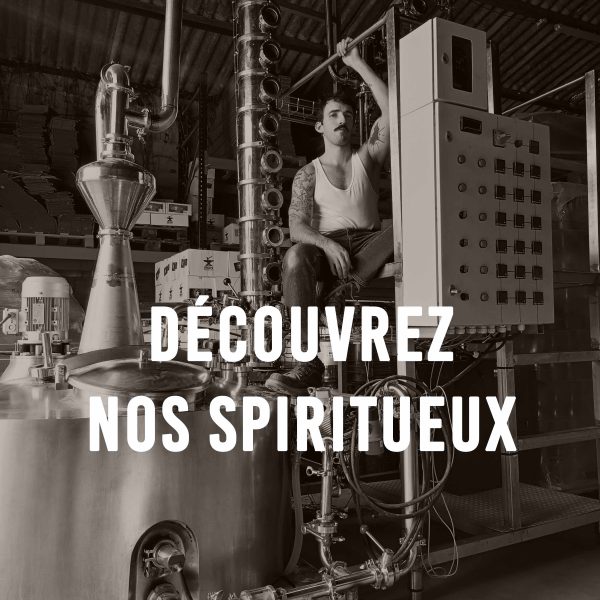 spiritueux gin pastis