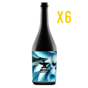 Pack 6 DDH IPA Citra / Mosaïc