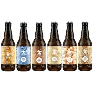 Pack 6 bières 33cl